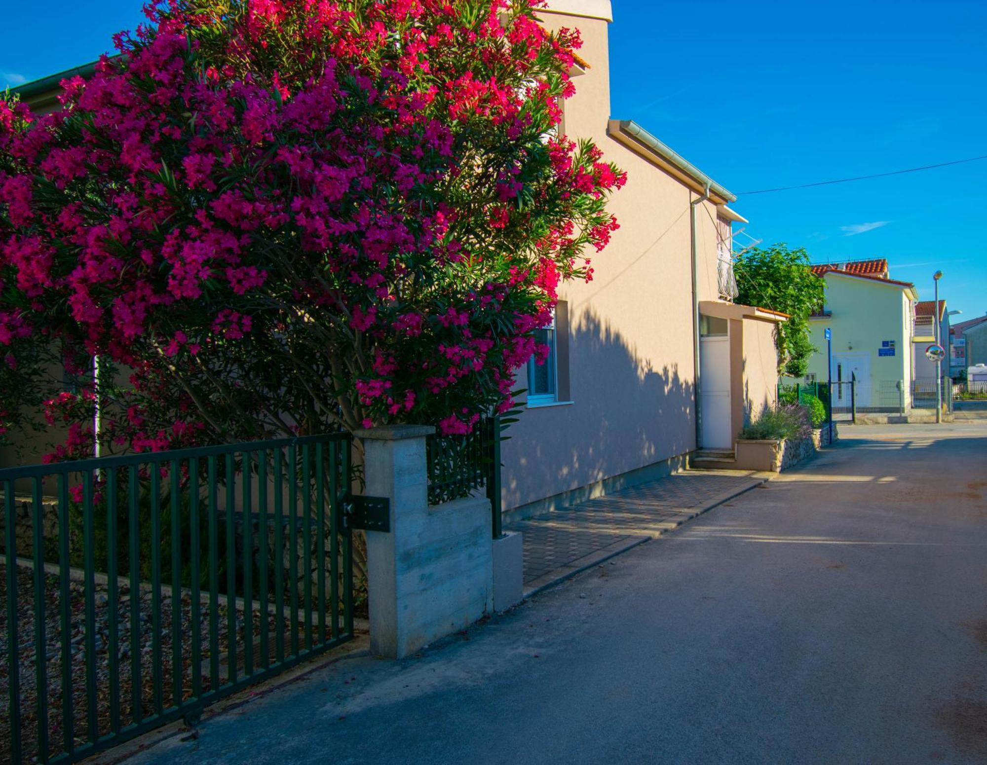 Apartments Anita Frane Vodice Exterior foto